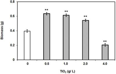 Nanotitania Exposure Causes Alterations in Physiological, Nutritional and Stress Responses in Tomato (Solanum lycopersicum)